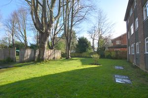 Photo 3- click for photo gallery